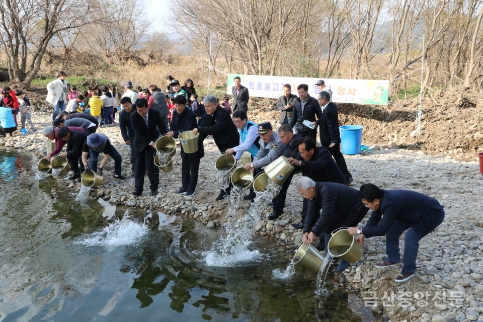 문정우 군수를 비롯한 기관단체장들이 토종물고기 치어를 천내강에 방류를 하고 있다