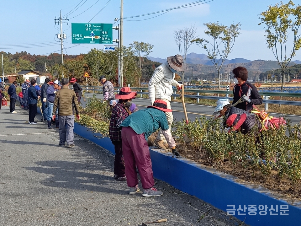 금산군 부리면주민자치위원회 양곡리 철쭉 꽃동산 조성 모습